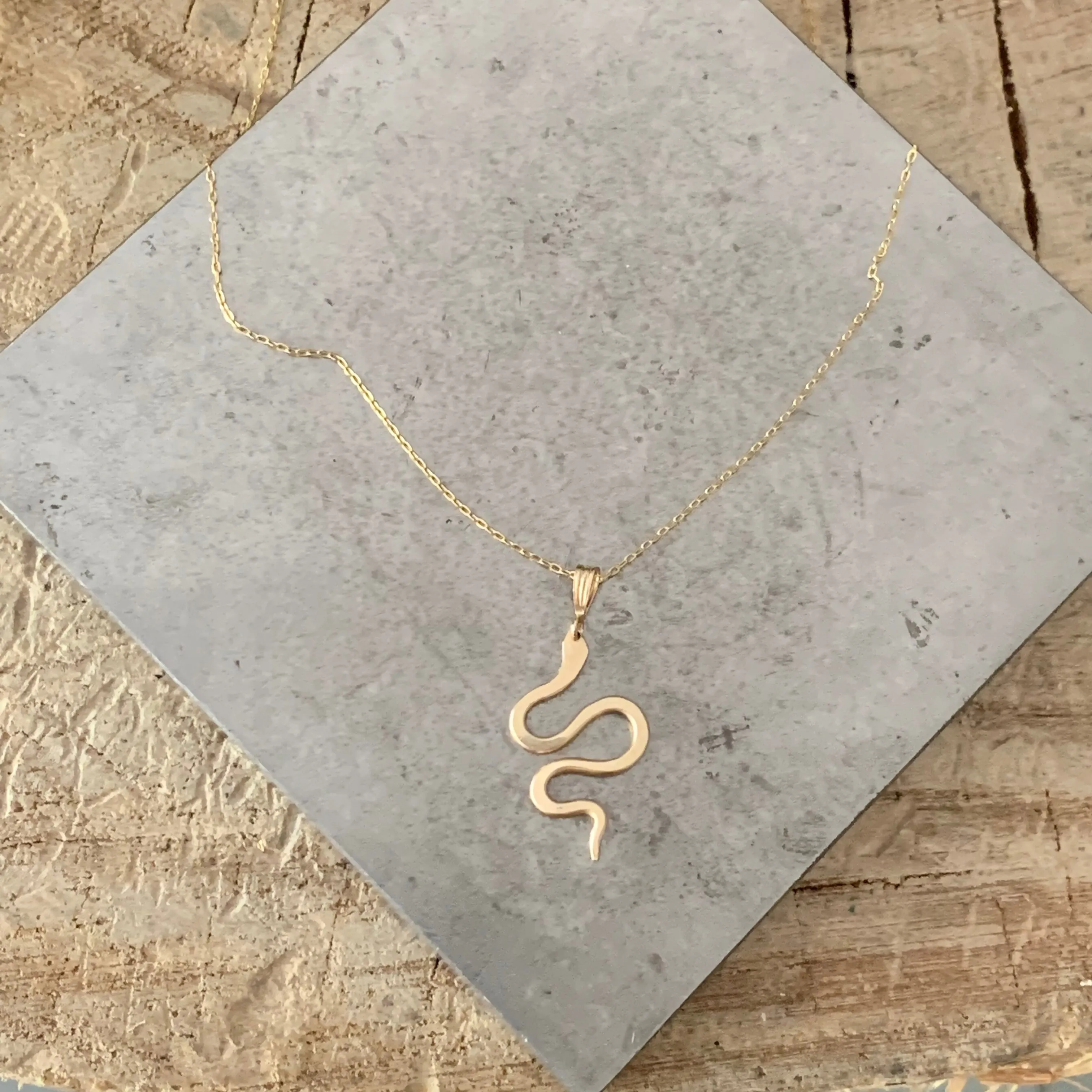 Delicate Serpent necklace