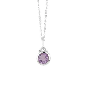 February Birthstone Charm Necklace in Silver